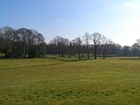 The open fields of Denehurst Park